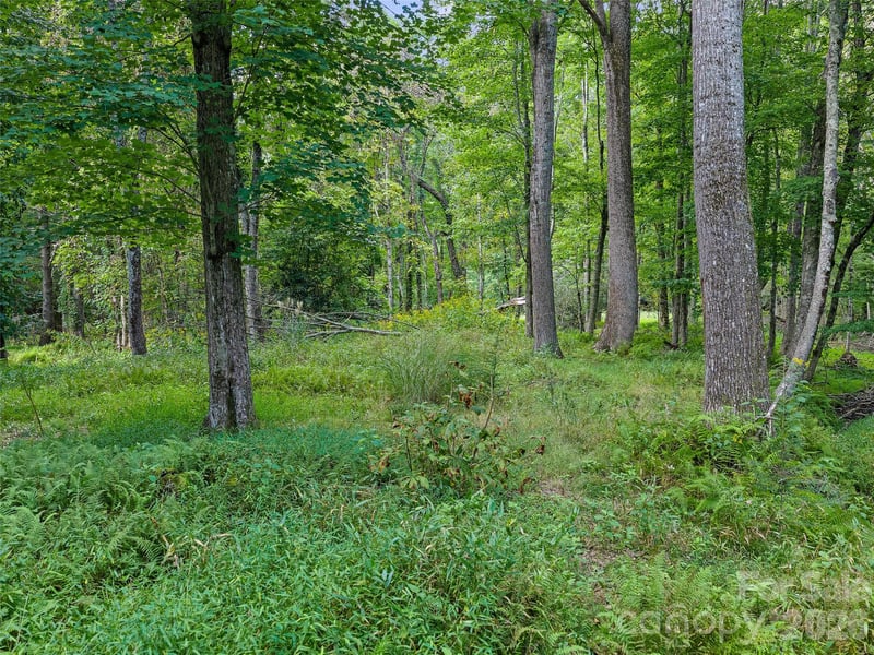 0 Riverlinks Dr #6, Burnsville, NC 28714