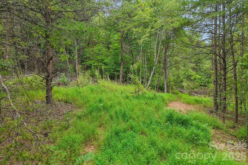 00 Clubhouse Rd, Lake Lure, NC 28746