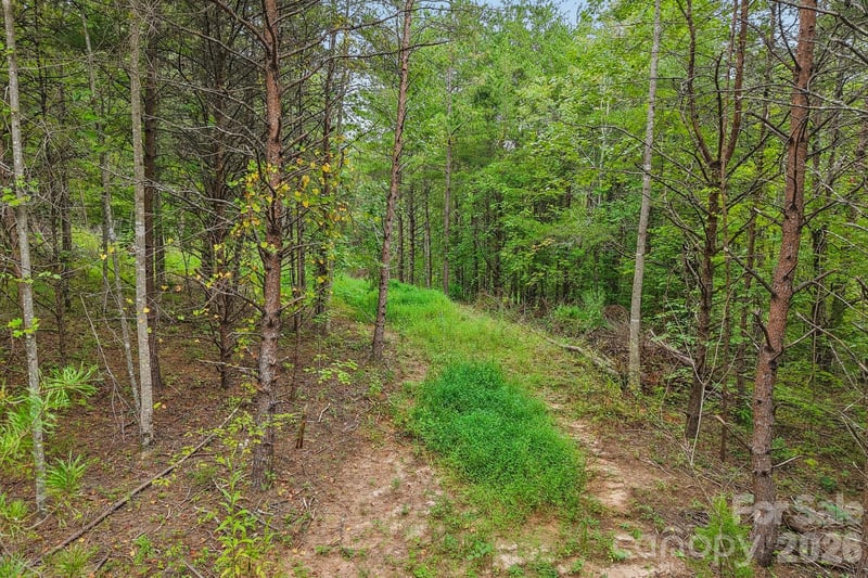 9999 Club House Rd, Lake Lure, NC 28746