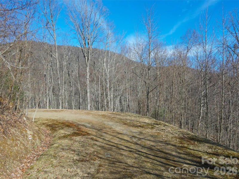 735 Whisper Mountain Dr, Leicester, NC 28748