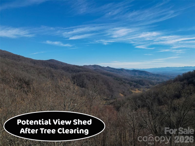 735 Whisper Mountain Dr, Leicester, NC 28748