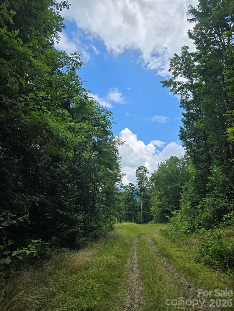 102 Tenderfoot Trl #102 & 103, Maggie Valley, NC 28751