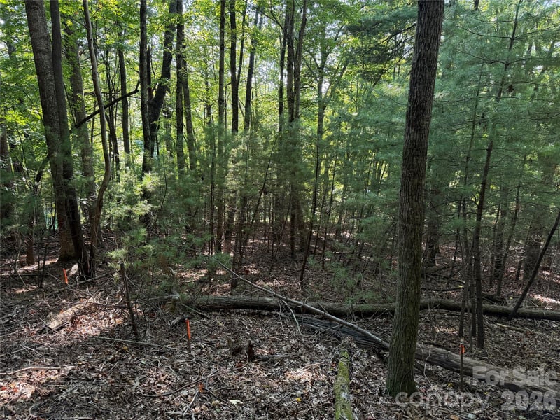 121 Bobby Jones Dr #48, Hendersonville, NC 28739