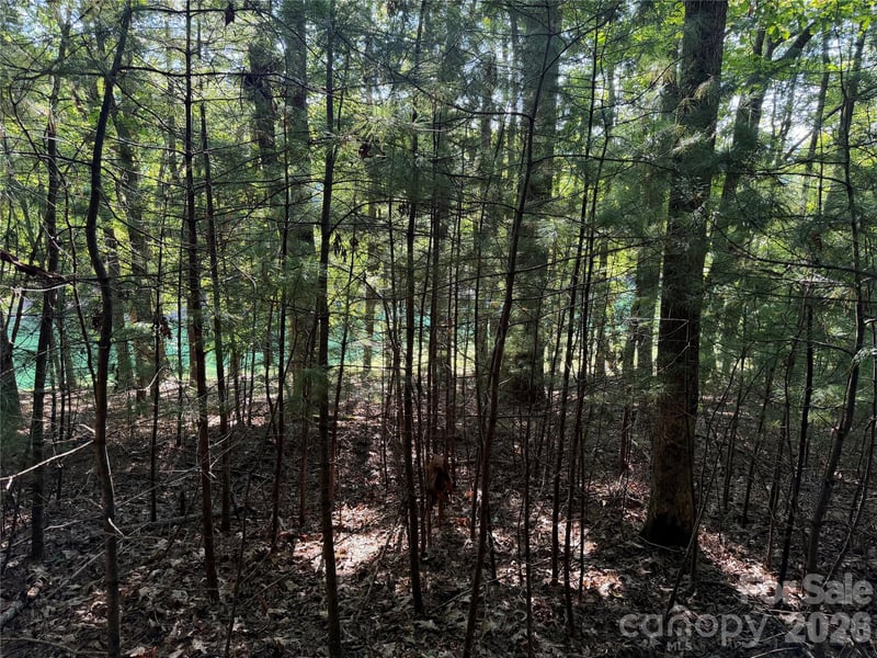 121 Bobby Jones Dr #48, Hendersonville, NC 28739