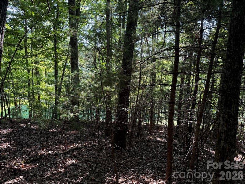 121 Bobby Jones Dr #48, Hendersonville, NC 28739