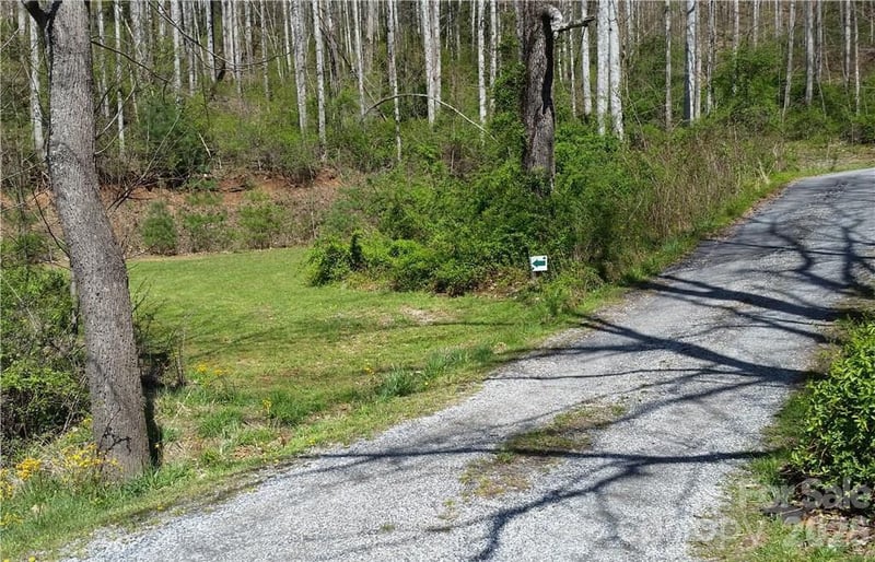 31 Mistletoe Rg, Waynesville, NC 28786
