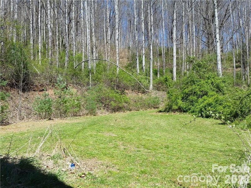 31 Mistletoe Rg, Waynesville, NC 28786