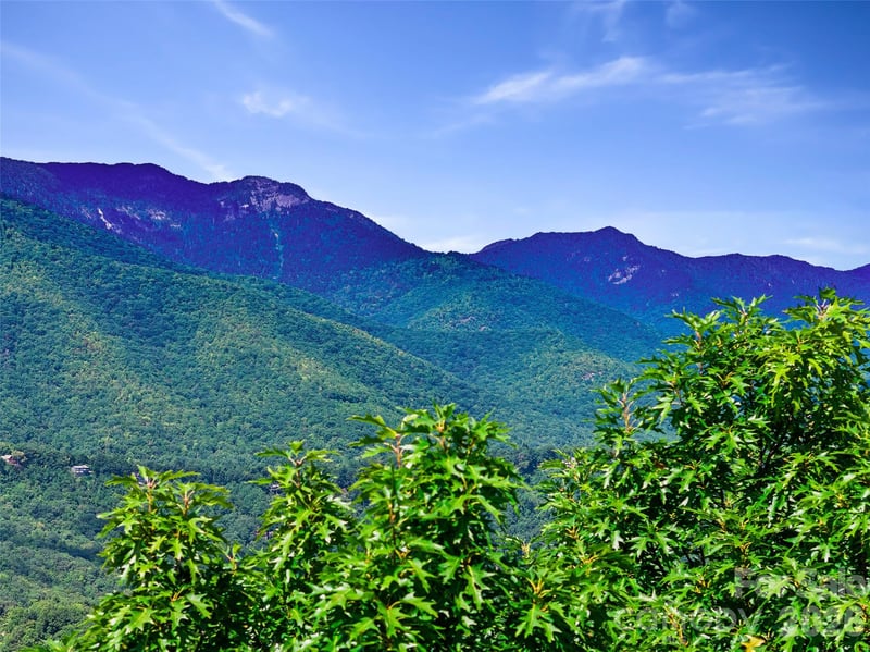 0 Big Ridge Rd #31, Burnsville, NC 28714