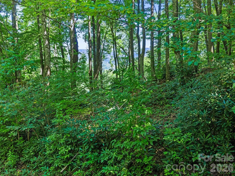 0 Big Ridge Rd #31, Burnsville, NC 28714