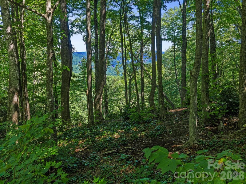 0 Big Ridge Rd #31, Burnsville, NC 28714