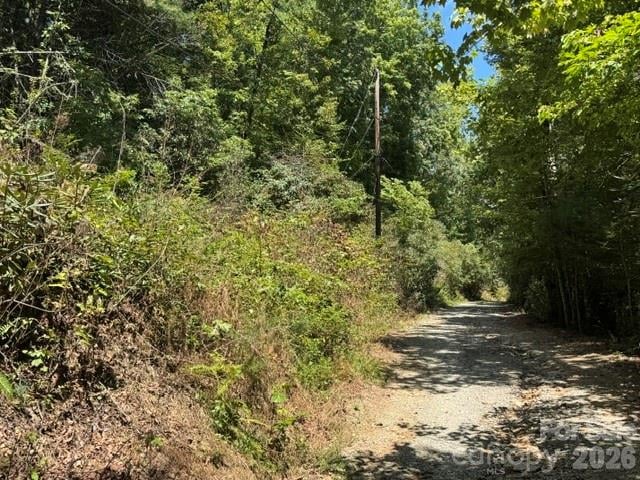 TBD Doris Lisa View Dr, Hendersonville, NC 28792