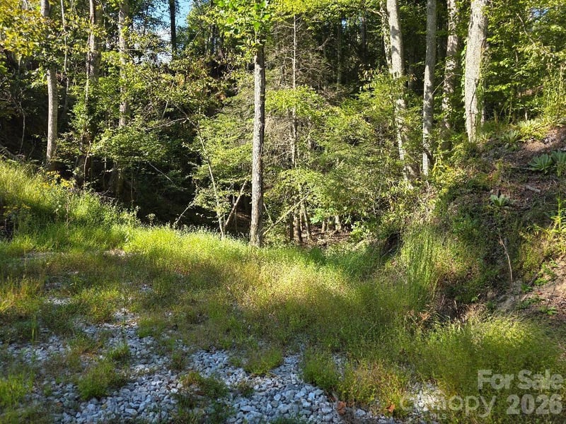 181 Poison Ivy Dr, Burnsville, NC 28714