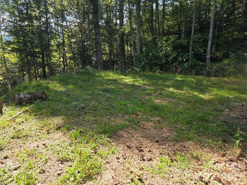 181 Poison Ivy Dr, Burnsville, NC 28714