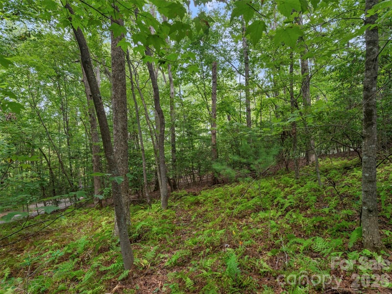 9999 Royal Knoll Dr, Hendersonville, NC 28792