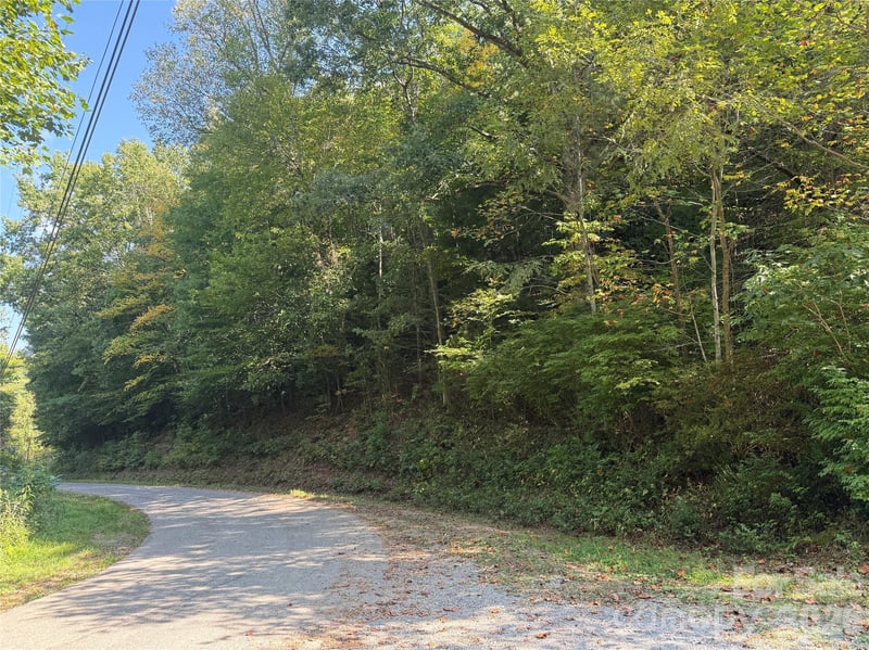 000 Bobcat Rd, Waynesville, NC 28785