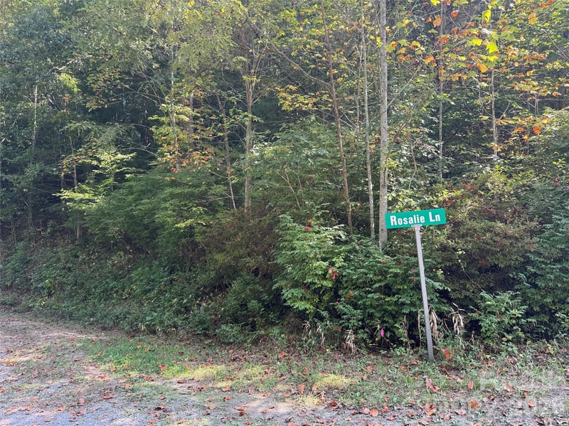 000 Bobcat Rd, Waynesville, NC 28785