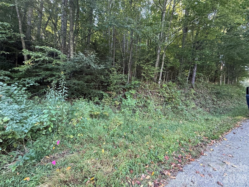 000A Bobcat Rd, Waynesville, NC 28785