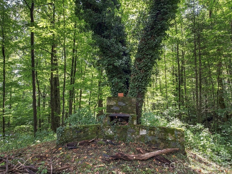 151 Tiger Lily Ln, Waynesville, NC 28786