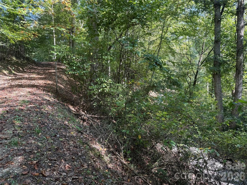000C Rosalie Ln, Waynesville, NC 28785