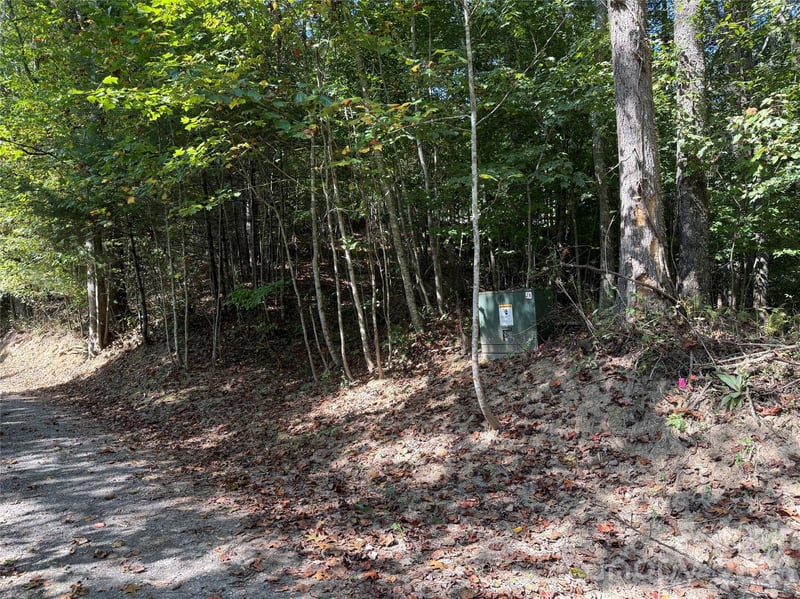 000C Rosalie Ln, Waynesville, NC 28785