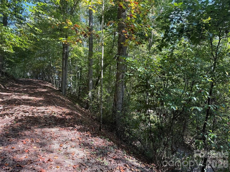 000C Rosalie Ln, Waynesville, NC 28785