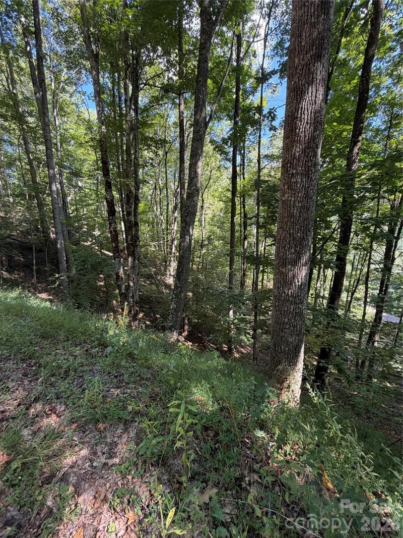 38 Gardenside Ln, Mars Hill, NC 28754