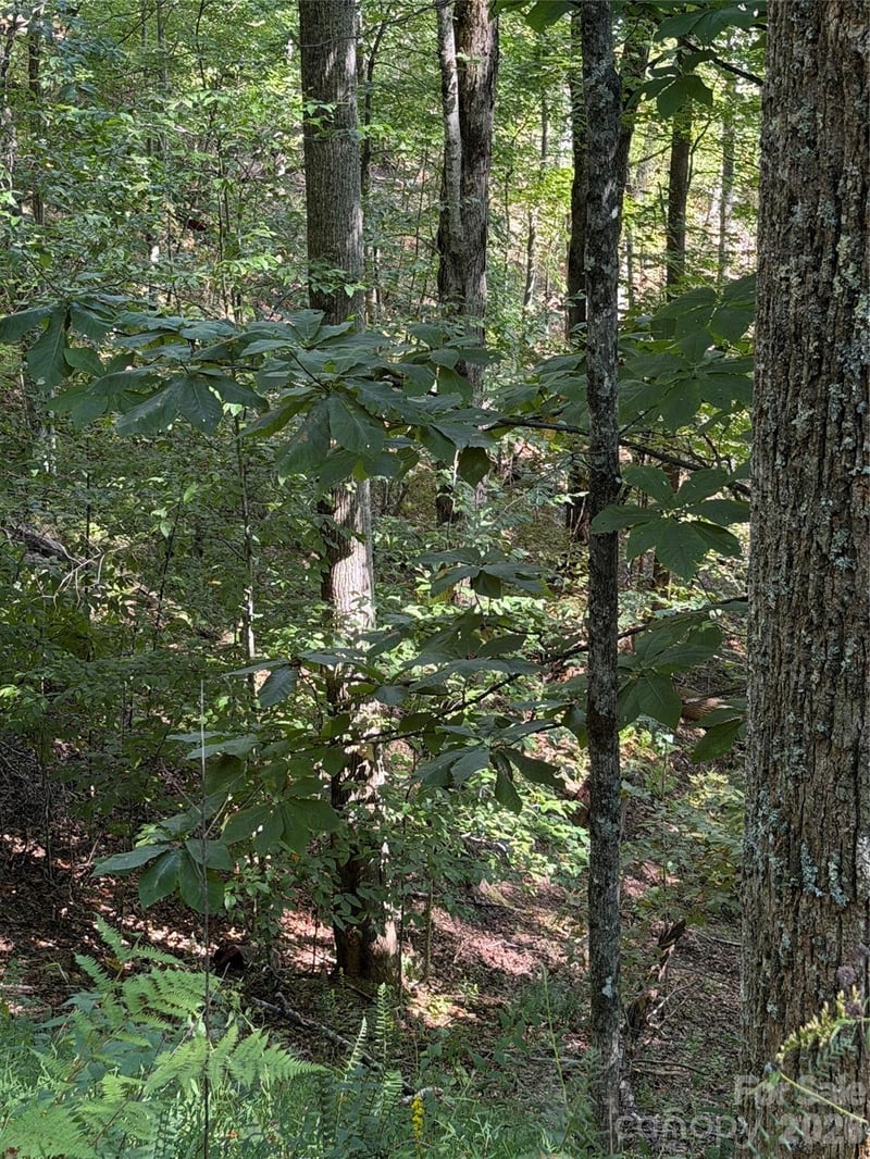 38 Gardenside Ln, Mars Hill, NC 28754