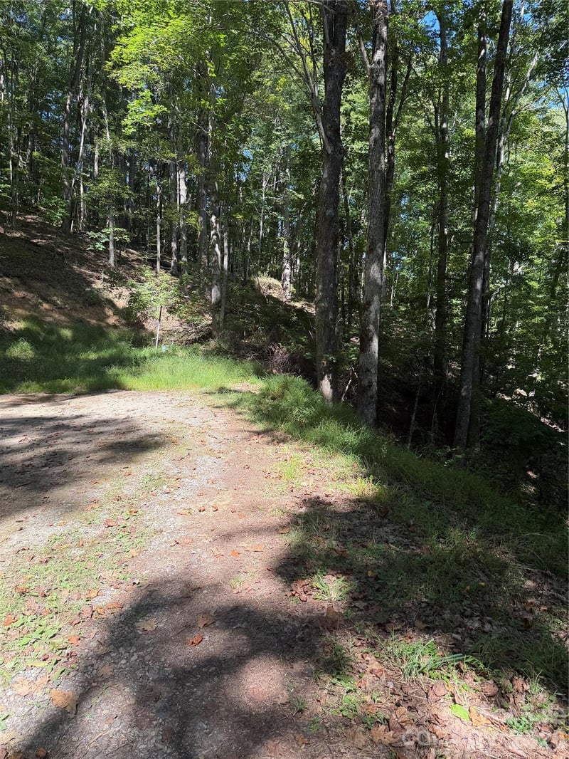 38 Gardenside Ln, Mars Hill, NC 28754