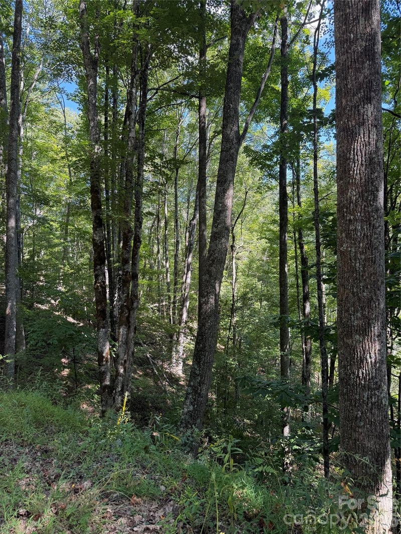 38 Gardenside Ln, Mars Hill, NC 28754