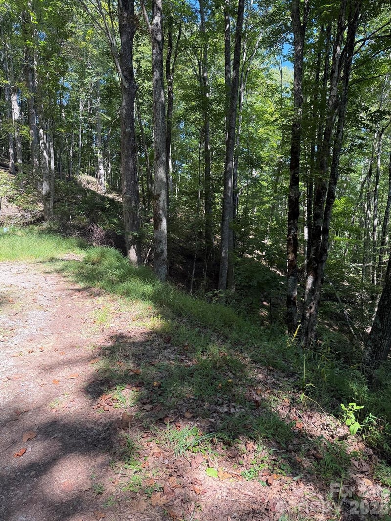 38 Gardenside Ln, Mars Hill, NC 28754