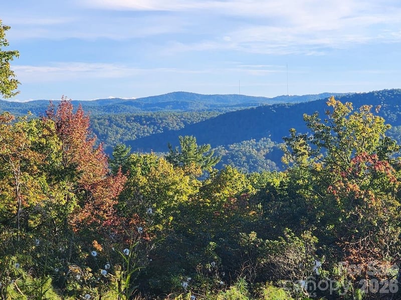 000 Bulling Creek Rd, Penrose, NC 28766
