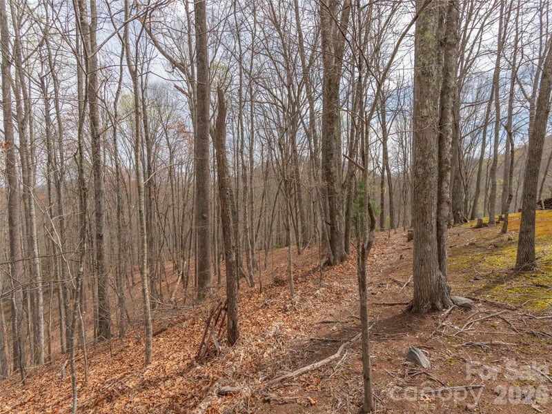 00 Michele Ln #4, Leicester, NC 28748