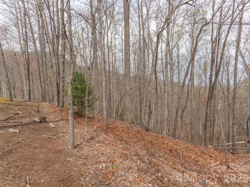 00 Michele Ln #4, Leicester, NC 28748