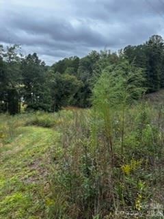 7668 Long Bay Pw, Catawba, NC 28609