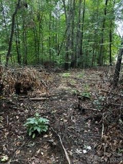 7668 Long Bay Pw, Catawba, NC 28609