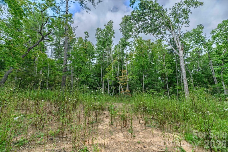 9999 Old Concord Rd #3, Fletcher, NC 28732