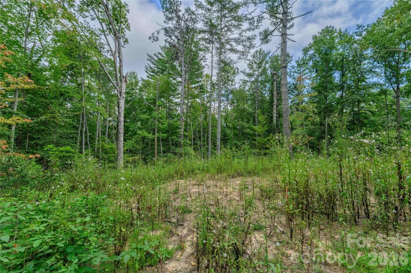 9999 Old Concord Rd #3, Fletcher, NC 28732