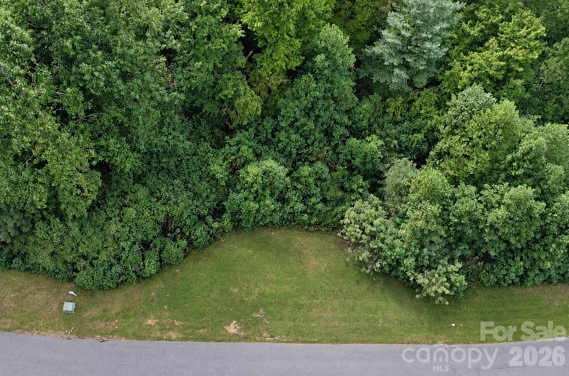 18 Mountain Magnolia Ln, Mills River, NC 28759