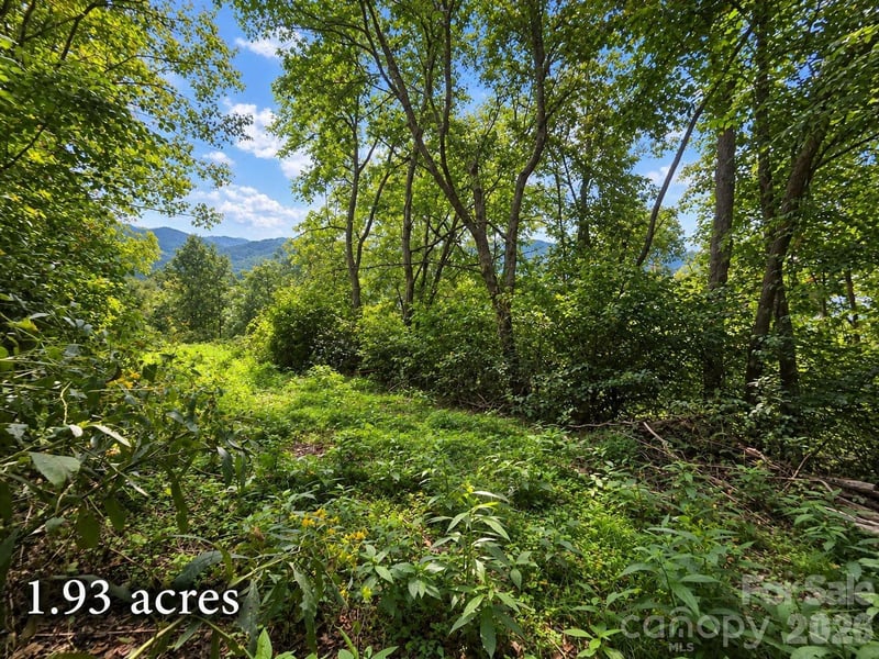 81 Dove Crest Ln #18 & 33, Waynesville, NC 28786