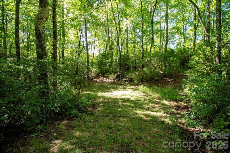 147 Hummingbird Hl, Rosman, NC 28772