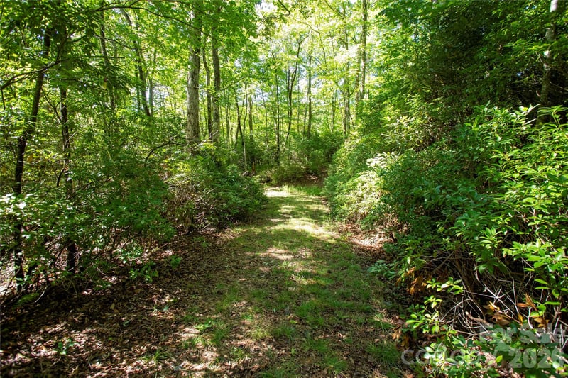 147 Hummingbird Hl, Rosman, NC 28772