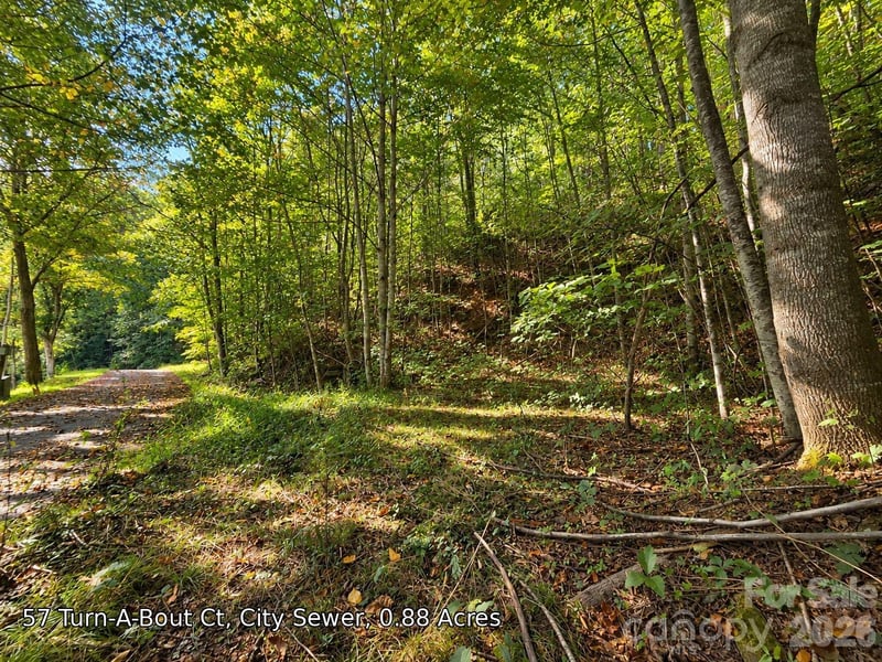 250 Turn A Bout Ct #57, Maggie Valley, NC 28785