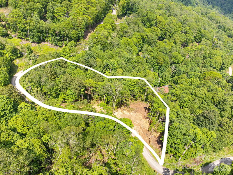 71 Mayapple Ln #71 & 72, Mars Hill, NC 28754
