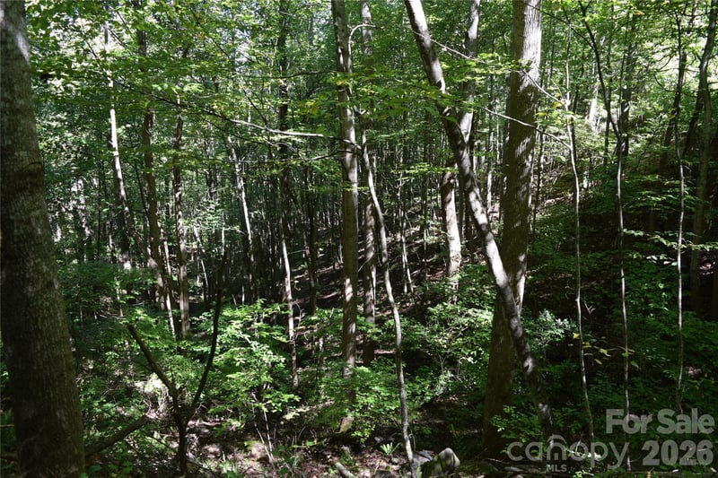 1410 N Double Knob Loop, Arden, NC 28704