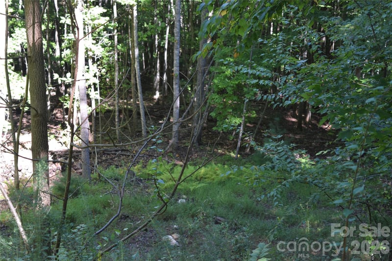 1410 N Double Knob Loop, Arden, NC 28704