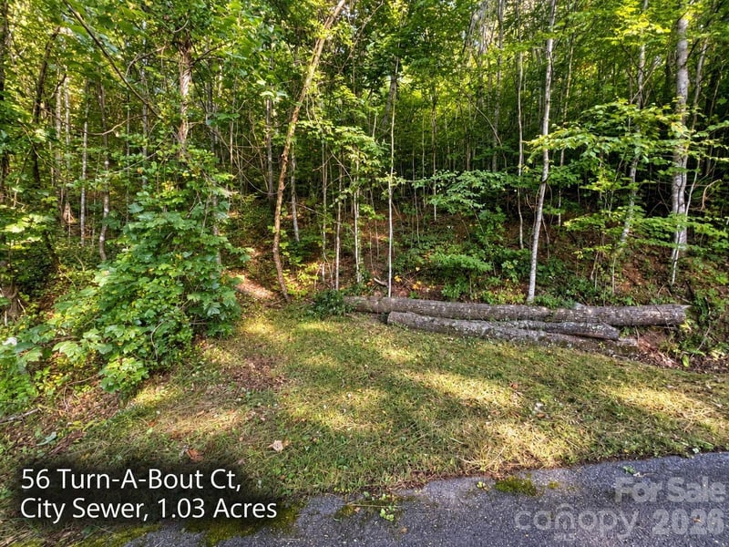 250 - 300 Turn A Bout Ct, Waynesville, NC 28785