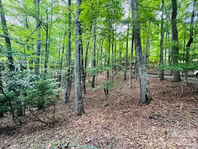 624 Fox Den Rd, Mars Hill, NC 28754