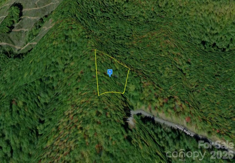 220 Big Cove Rd, Candler, NC 28715