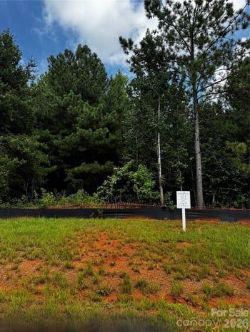 7443 Kates Grove Way, Huntersville, NC 28078