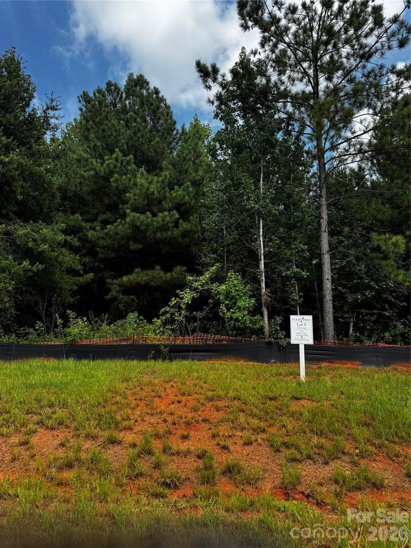 7443 Kates Grove Way, Huntersville, NC 28078